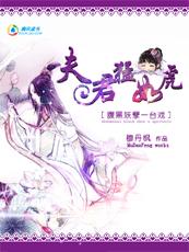 夫君猛如虎：腹黑王爷盗墓妃