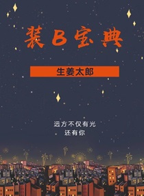 装B宝典