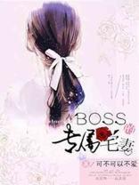 BOSS的专属宅妻