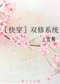 双修系统