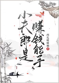 小夫郎是赚钱能手