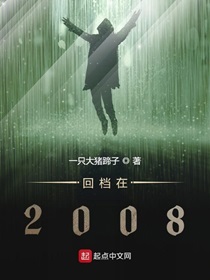 回档在2008好看么