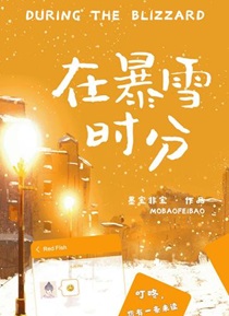 在暴雪时分